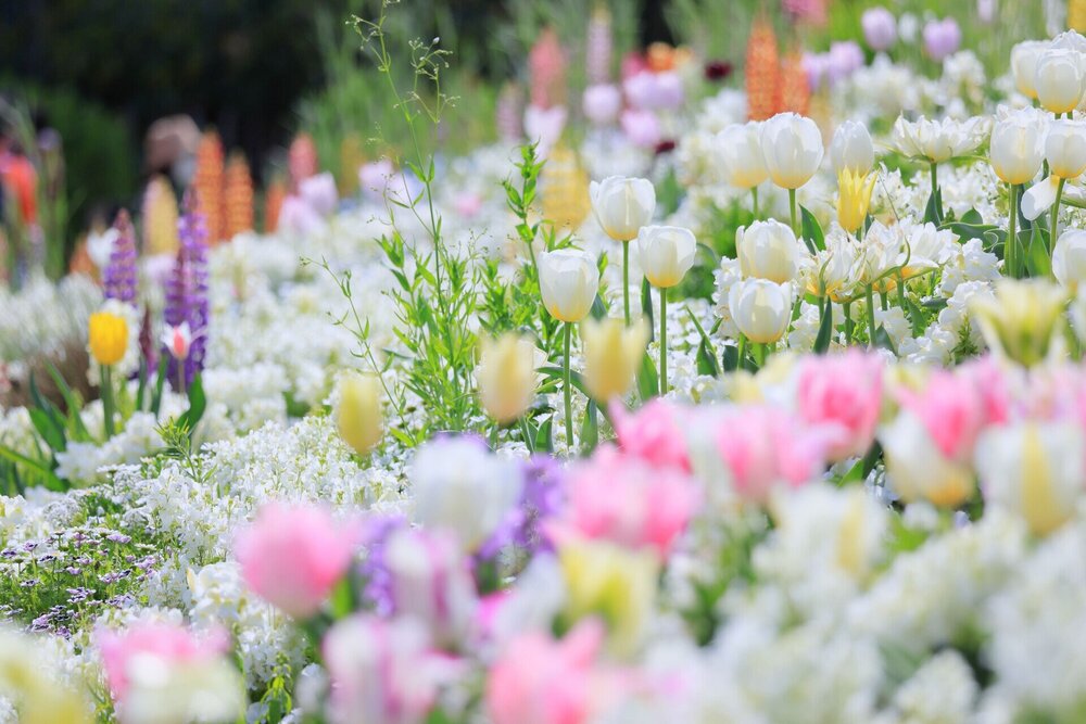 2023年 春の里山ガーデンフェスタ開催記録 | 里山ガーデンフェスタ