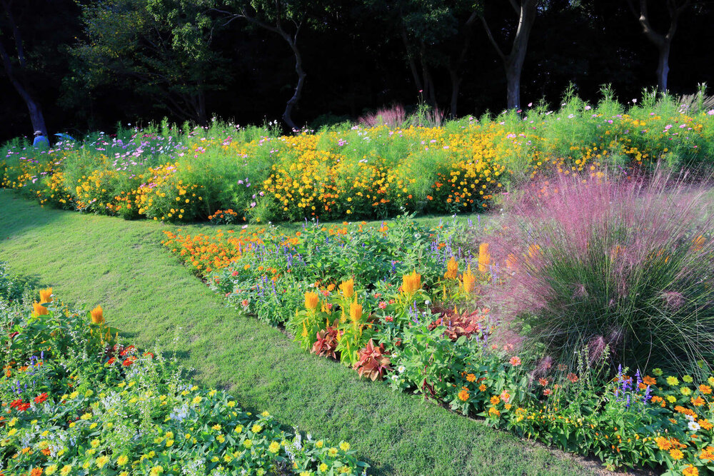 2025年 秋の里山ガーデンフェスタ開催記録のアイキャッチ画像$>