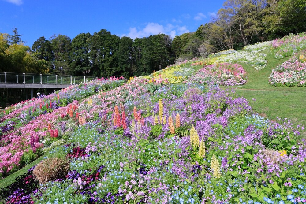 2026年 春の里山ガーデンフェスタ開催記録のアイキャッチ画像$>
