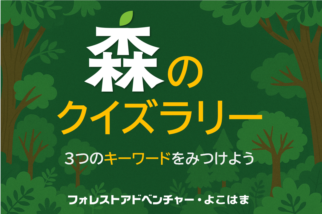 11-フォレストアドベンチャー-web用03.png