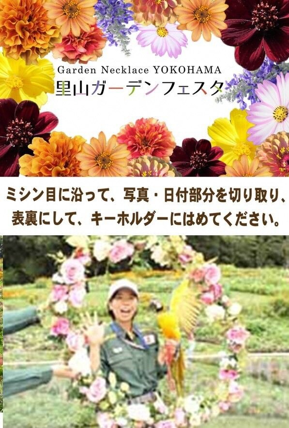 31-文教スタヂオ.jpg