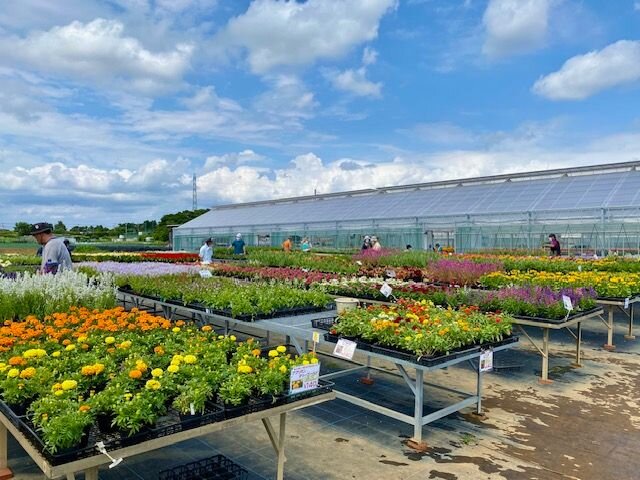 農福マルシェ出展情報 | 里山ガーデンフェスタ 自然豊かな里山と