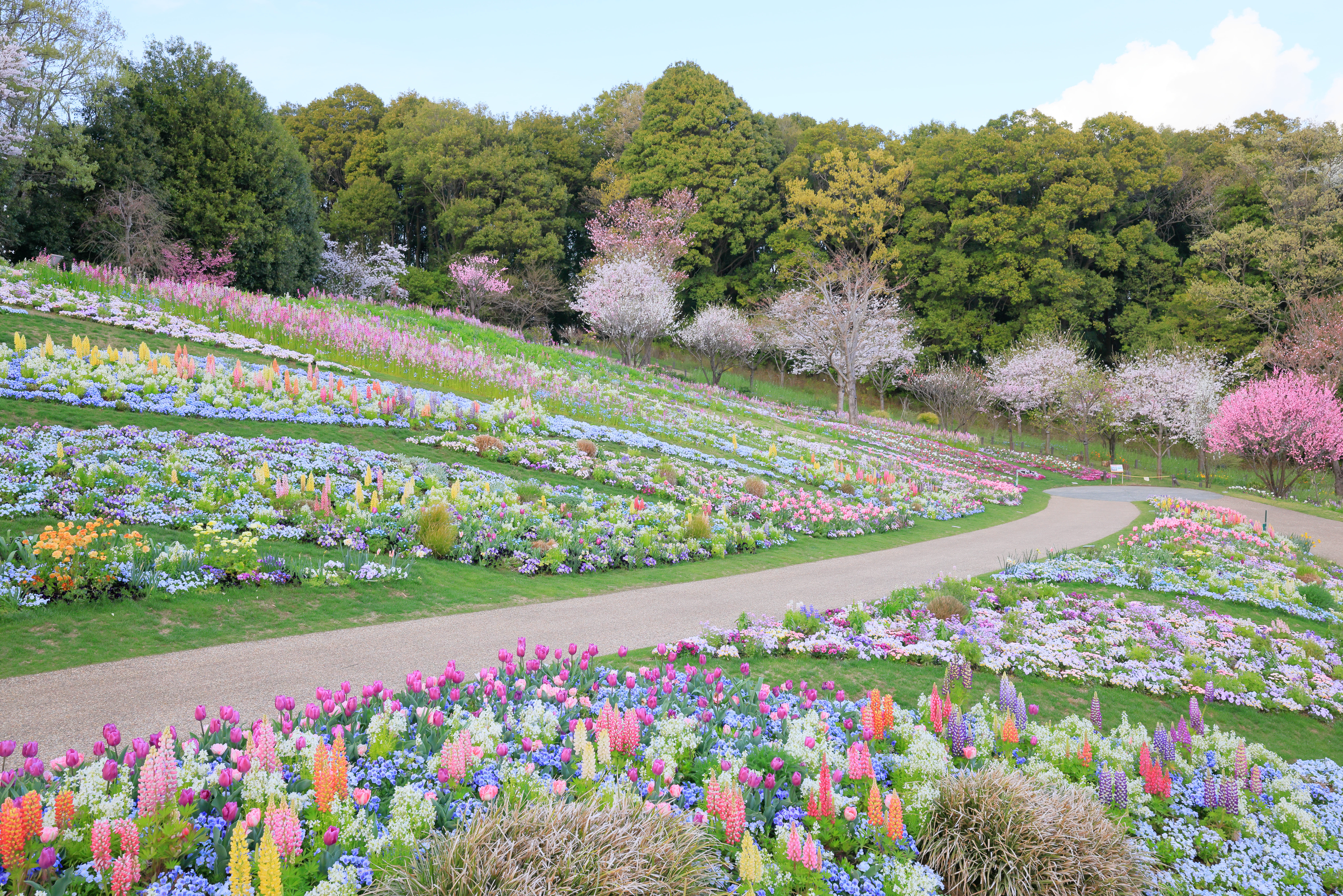 里山ガーデンフェスタ