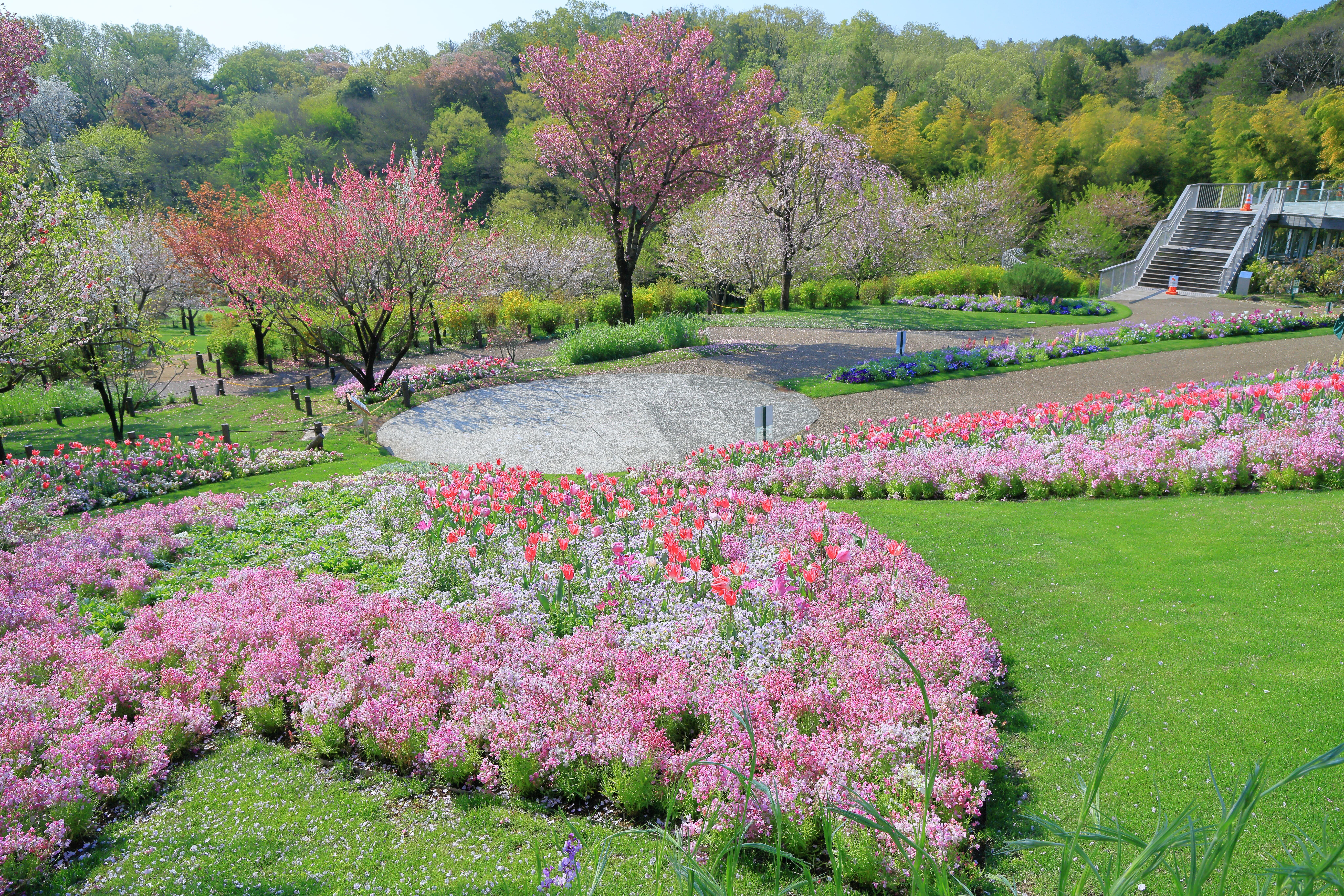 里山ガーデン大花壇2020